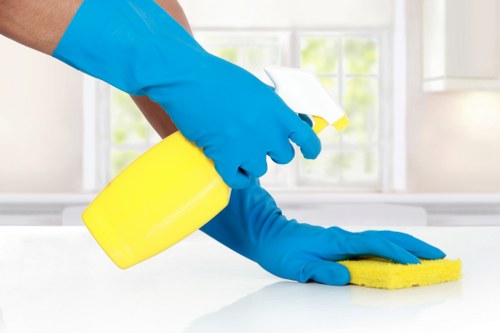 Domestic cleaning tasks for kitchens and bathrooms in a busy Islington home