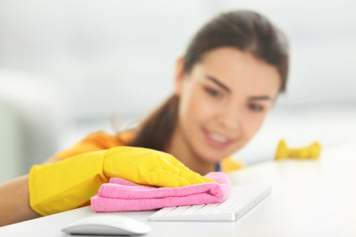 Local mattress cleaning technician working in an Islington apartment