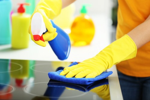 Kitchen deep clean for an Islington property