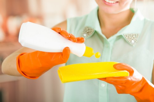 A professional cleaner handling recurring cleaning in an Islington property