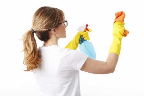 Trained carpet cleaning staff working carefully in a home