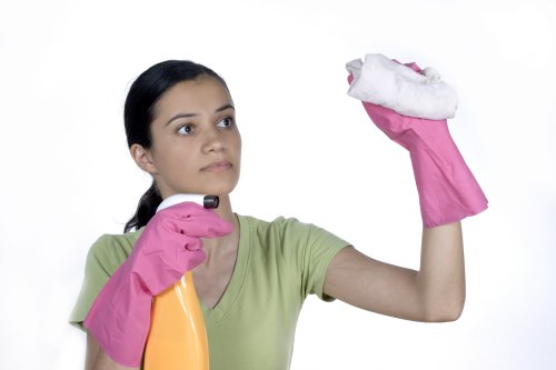 Upholstery care for a sofa in an Islington flat