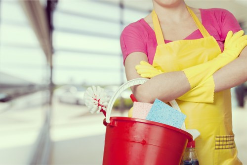 Local cleaning treatment for stubborn pet urine odours in a flat