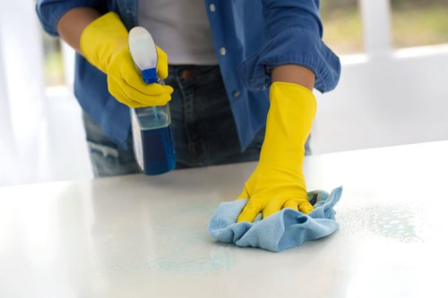 Deep cleaning an oven door and interior in a local Islington home