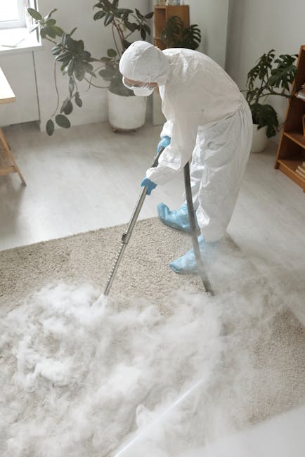 A professional cleaning technician dressed in full protective gear, including a white coverall, gloves, mask, and shoe covers, is using a carpet cleaning machine to extract dirt and moisture from a light beige carpet in a bright, modern living room. The room features large windows allowing natural light, with green leafy plants in white pots positioned near the window. There is a small wooden shelf or side table visible in the background. The surfaces, including the carpet and surrounding hardwood floor, appear clean and well-maintained, indicating a thorough deep cleaning process. This illustrates how Islington Carpet Cleaners provides comprehensive surface cleaning and carpet sanitisation services in Victorian homes facing access challenges.